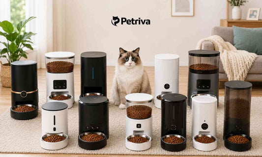 10 Best Pet Feeders in 2026: Top Options for Busy Pet Owners