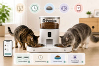 Best Automatic Cat Feeder for Multiple Cats: How to Feed Two or More Cats?