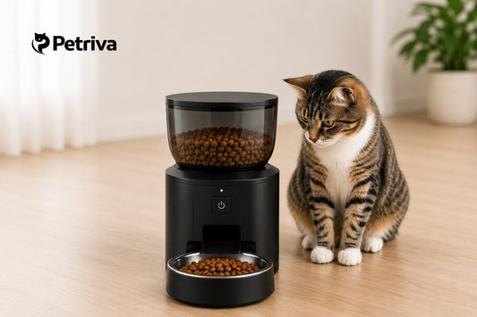 How to Choose the Right Automatic Pet Feeder?