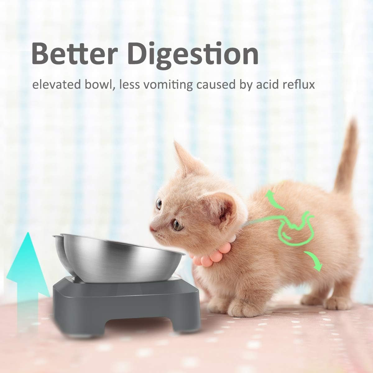 Raised Cat Food Bowl Stainless Steel 15 Degree Tilt (Double) | Food-Grade & Durable, Ergonomic Design, Elevated with Stand, Adjustable Degree, for Dry Wet Food Water, Ideal for Small Pets