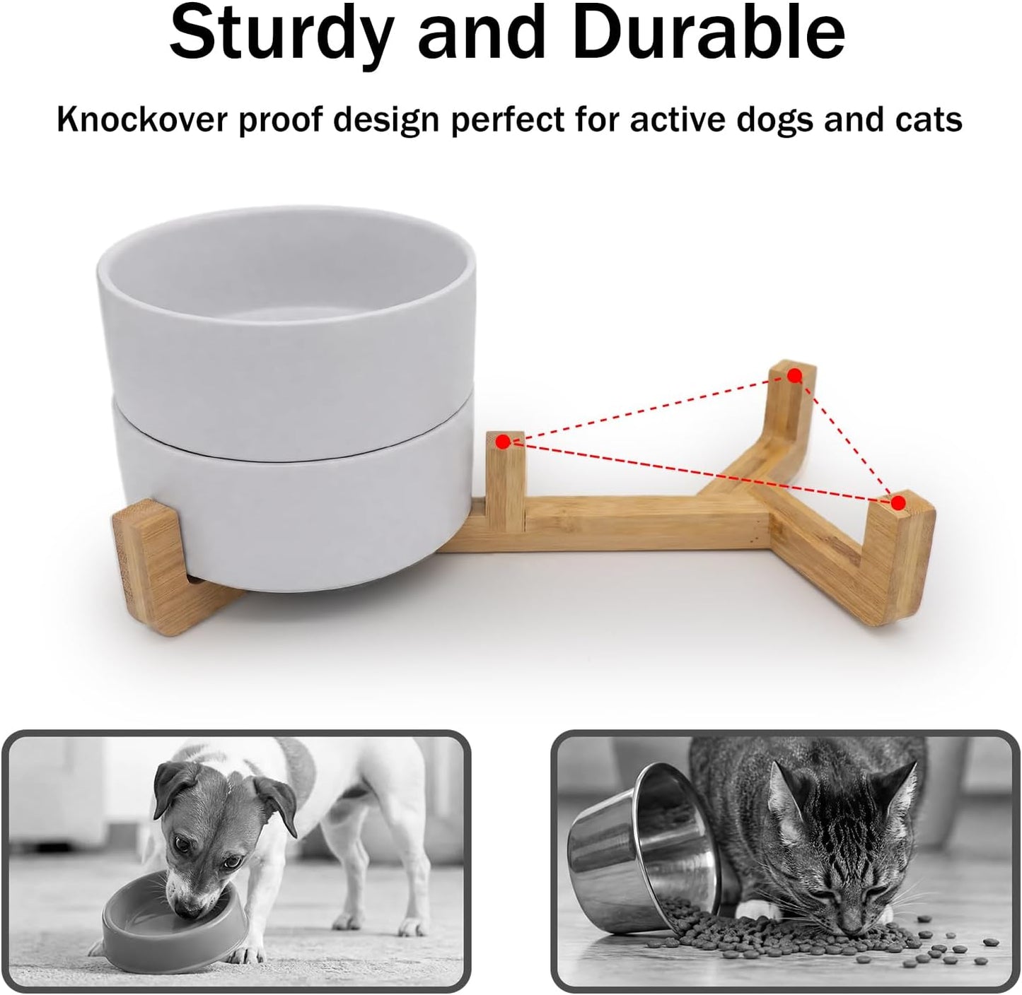 Ceramic Dog and Cat Bowls with Stand, 2-Pack Food and Water Bowl Set - Non-Slip Pet Bowls for Cats,Puppies and Small Dogs, 13.5Oz（White）