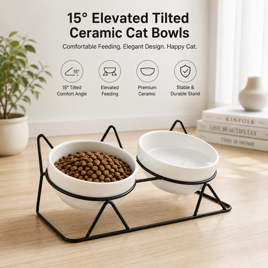 15° Elevated Tilted Ceramic Cat Bowls with Stand – Double Food & Water Bowl Set