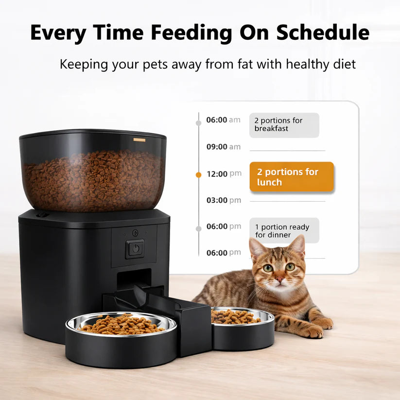 Feed your cat on schedule with our dual bowl cat feeders