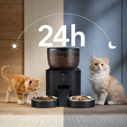 Feed your cats 24 hours