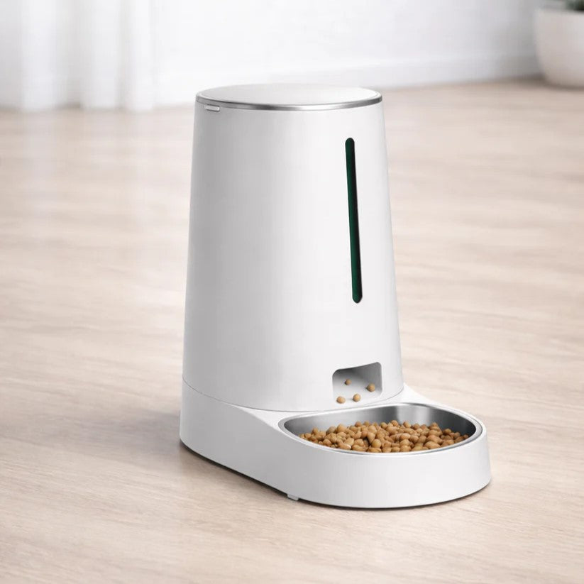 White pet feeder with food on a wooden surface