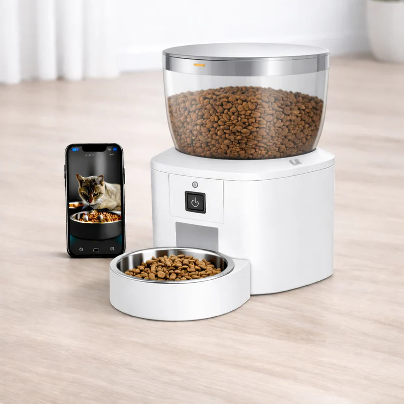 Buy single bowl cat feeders in USA with Camera features